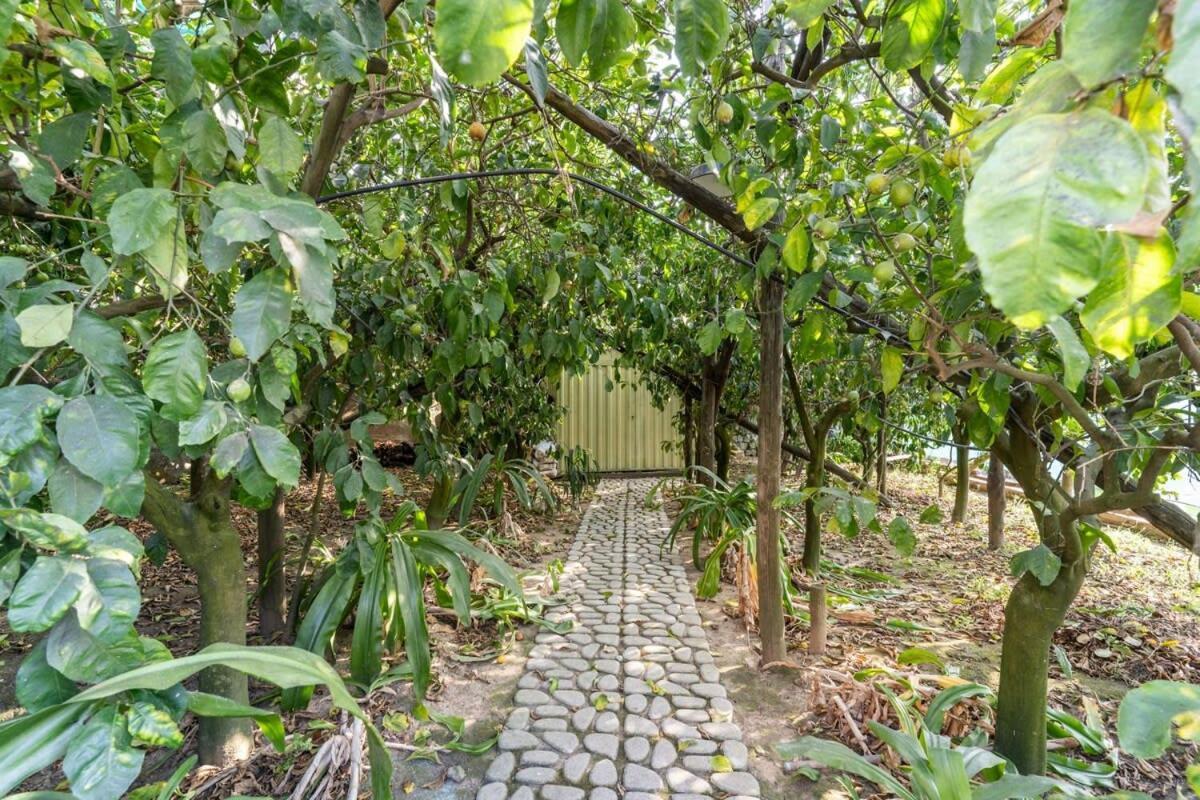 Villa Mimosa Rustic Elegance Views & Pool ماسّا لوبْرينسِ المظهر الخارجي الصورة